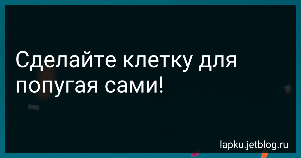 Сделайте клетку для попугая сами! image