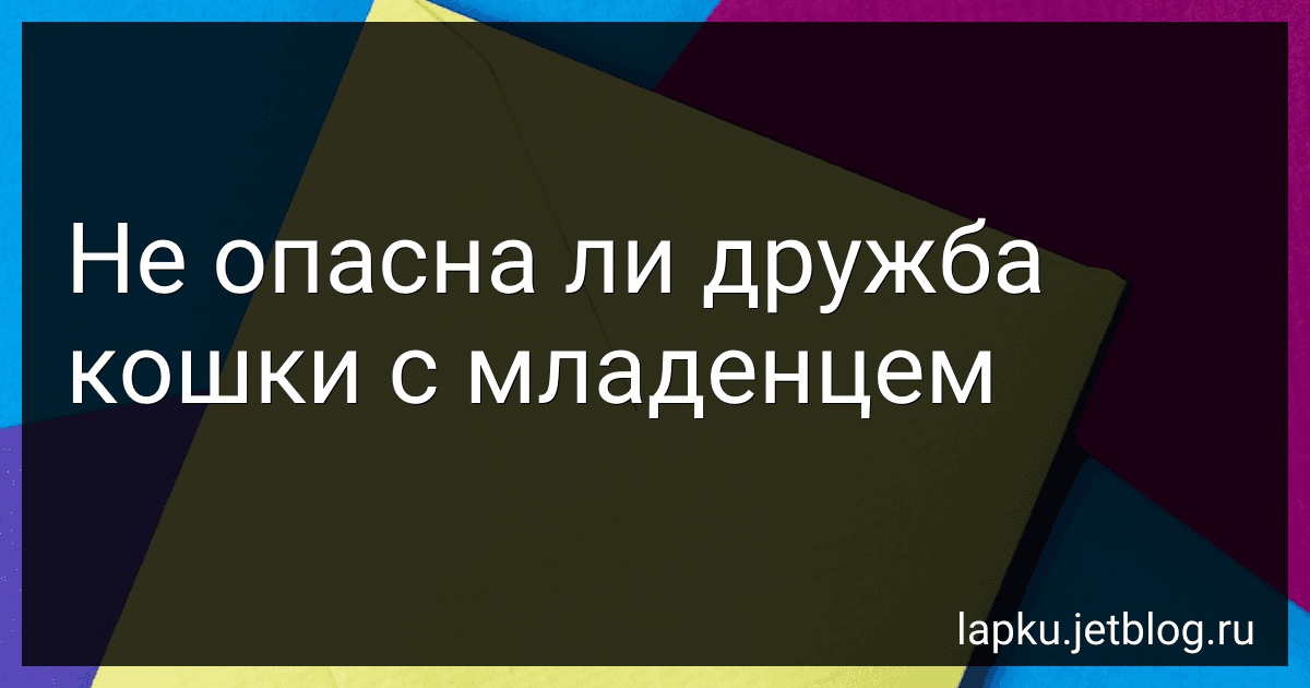 Не опасна ли дружба кошки с младенцем image