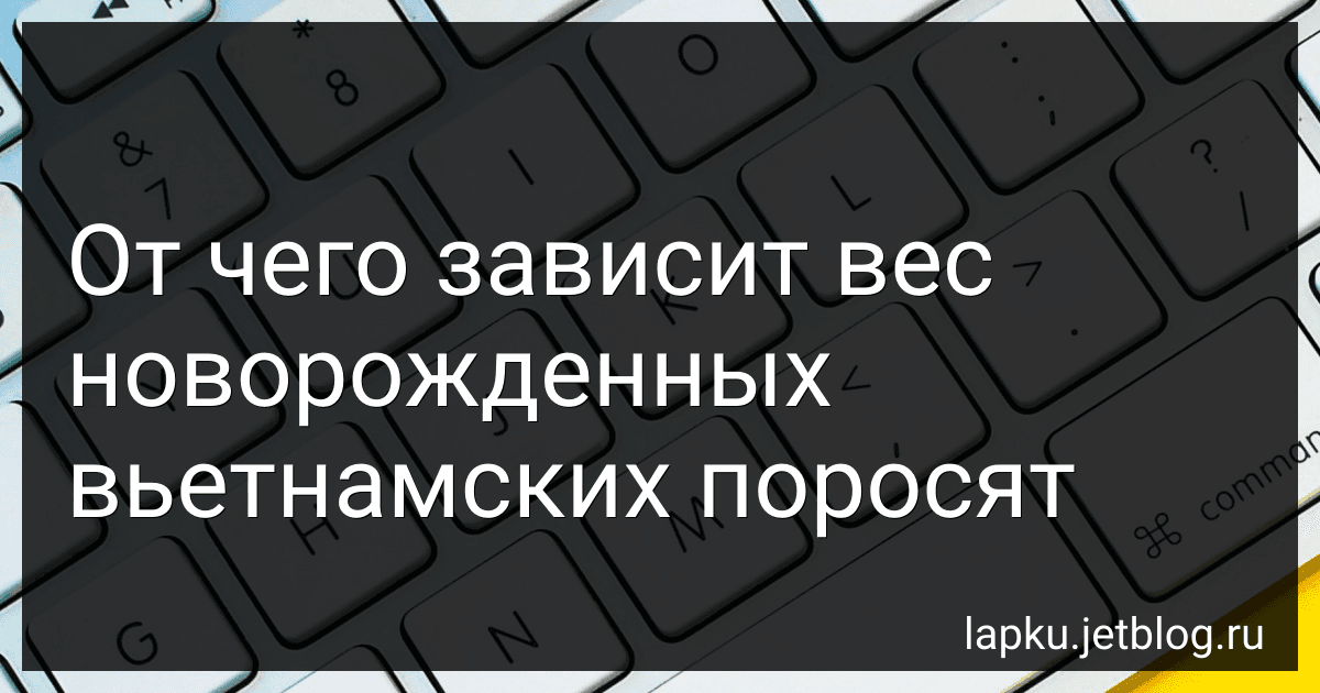 От чего зависит вес новорожденных вьетнамских поросят image