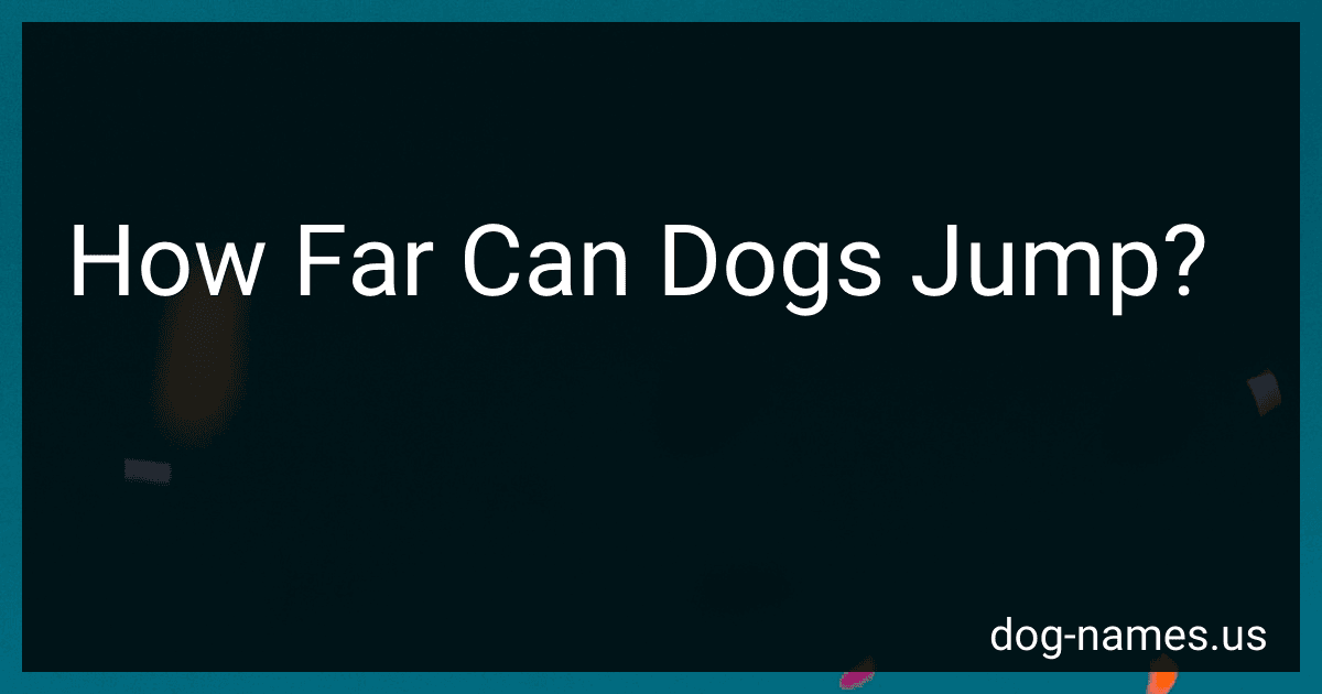 How Far Can Dogs Jump? preview