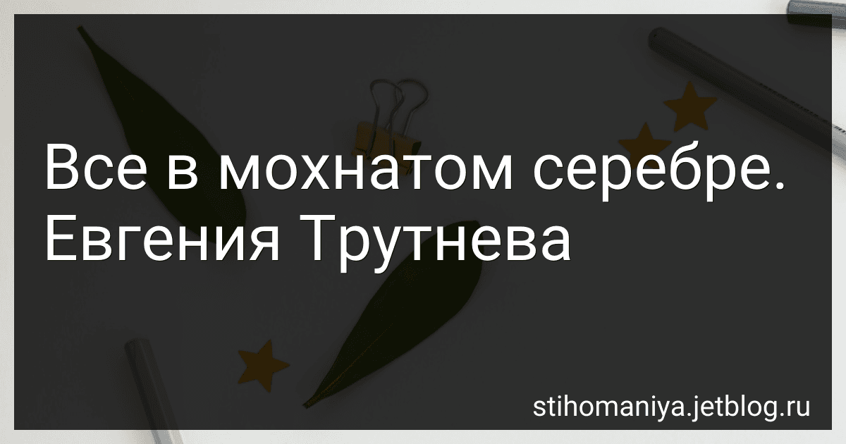 Все в мохнатом серебре. Евгения Трутнева preview