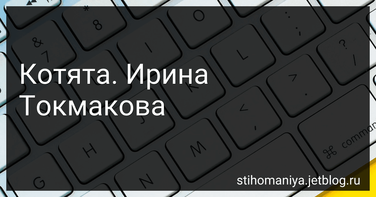 Котята. Ирина Токмакова preview