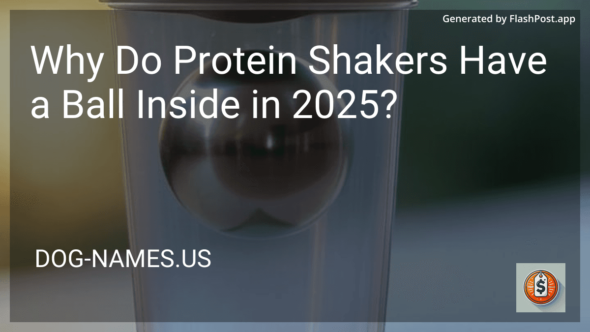Why Do Protein Shakers Have a Ball Inside in 2025? preview