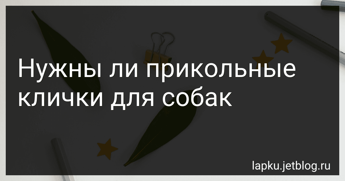 Нужны ли прикольные клички для собак preview