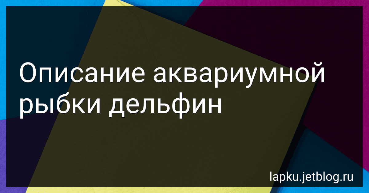 Описание аквариумной рыбки дельфин image