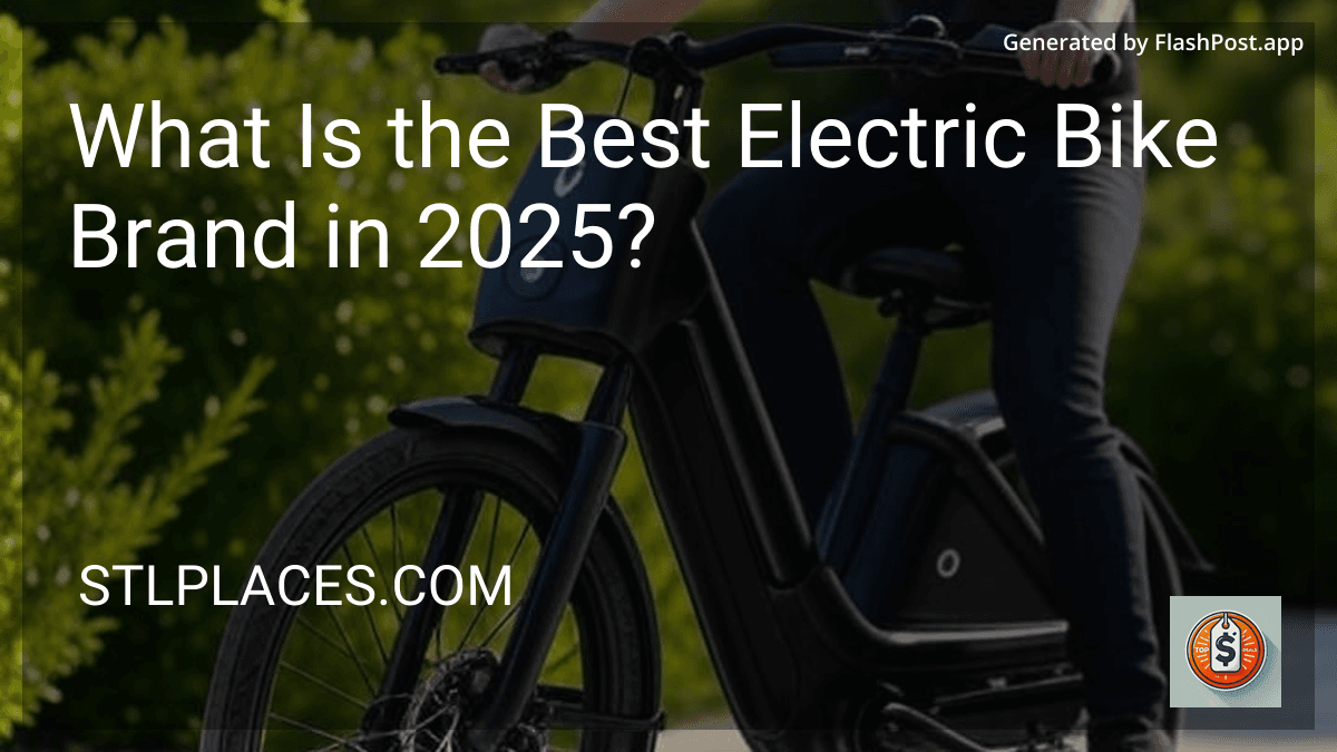 What Is the Best Electric Bike Brand in 2025? image