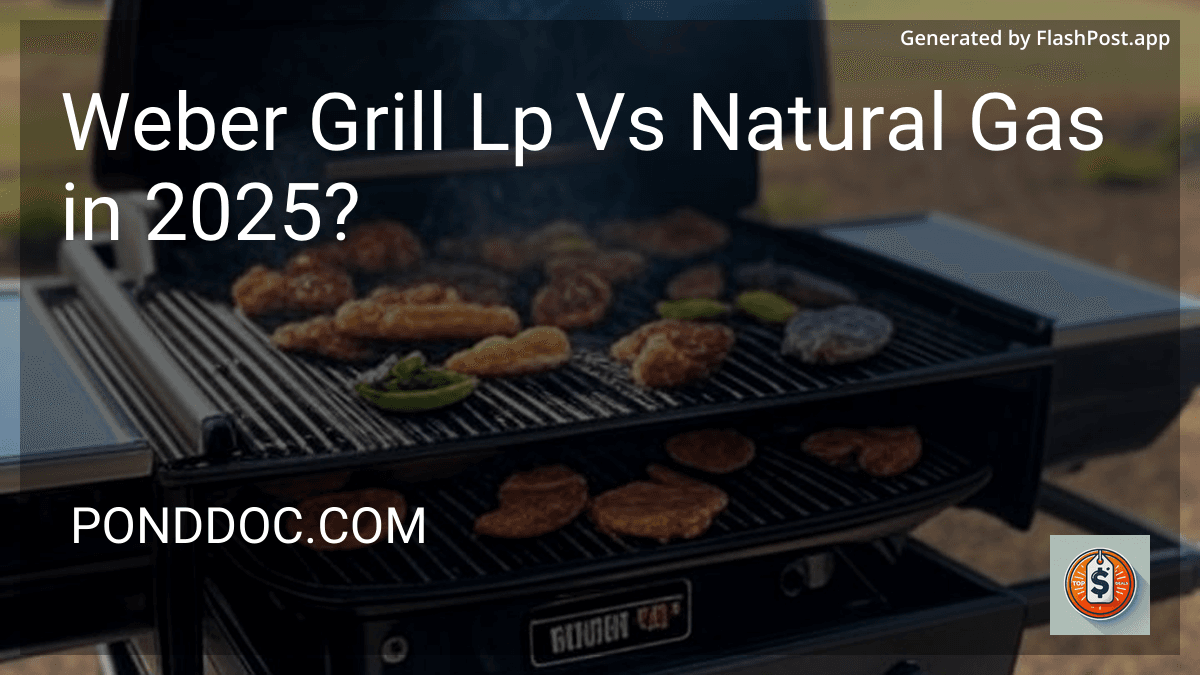 Weber Grill Lp Vs Natural Gas in 2025? preview