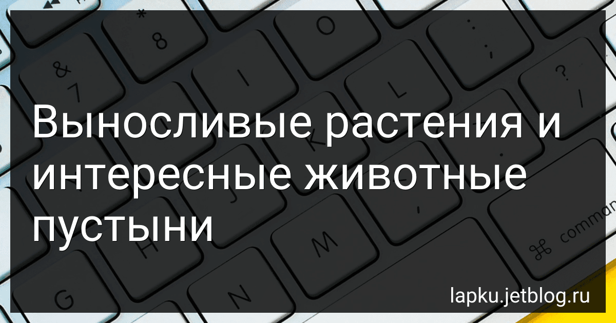 Выносливые растения и интересные животные пустыни image