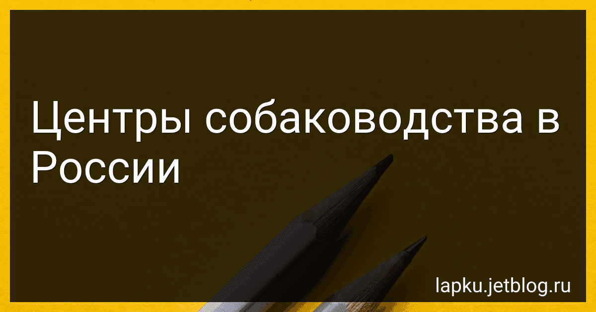 Центры собаководства в России preview