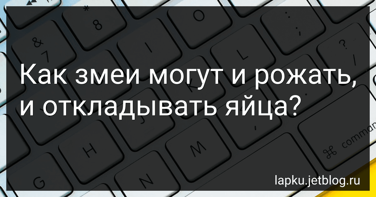 Как змеи могут и рожать, и откладывать яйца? image