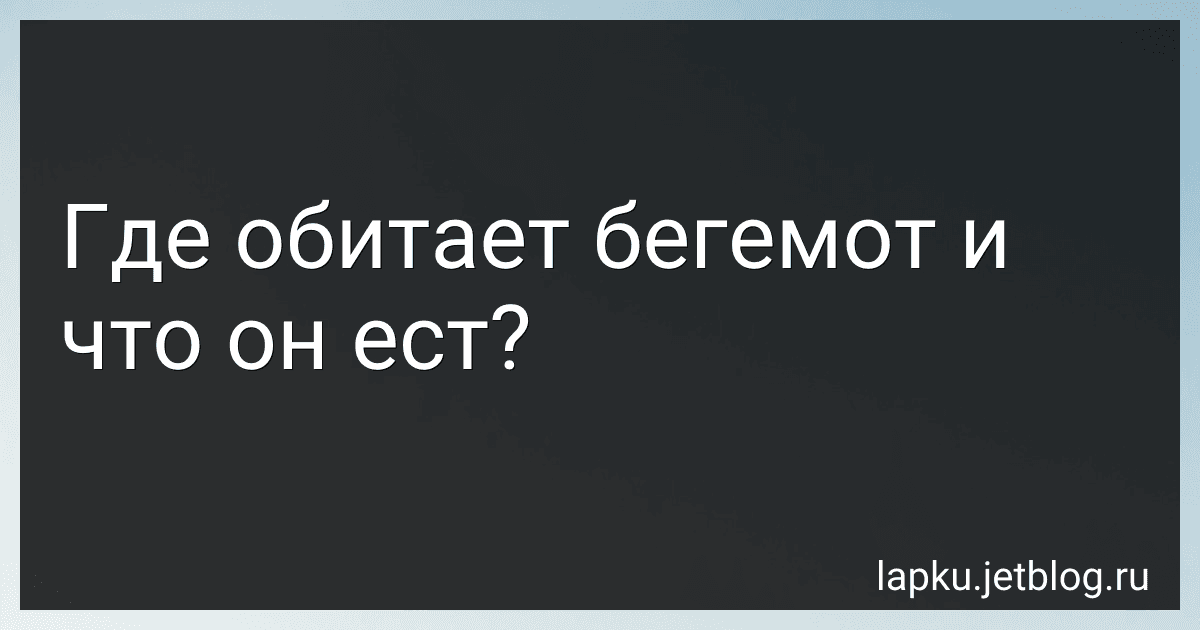 Где обитает бегемот и что он ест? image