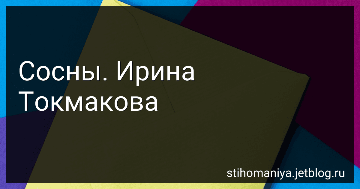 Сосны. Ирина Токмакова preview