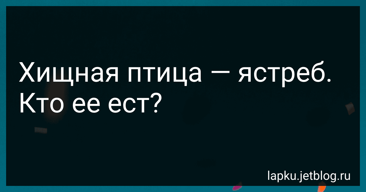 Хищная птица - ястреб. Кто ее ест? image