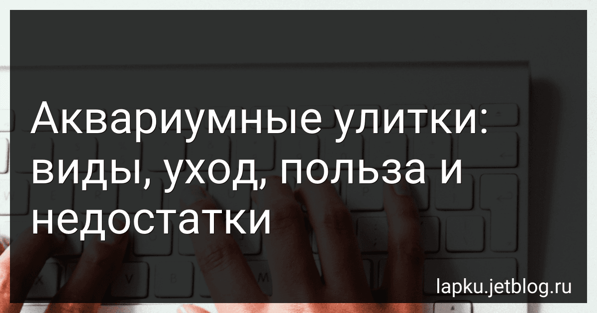Аквариумные улитки: виды, уход, польза и недостатки image