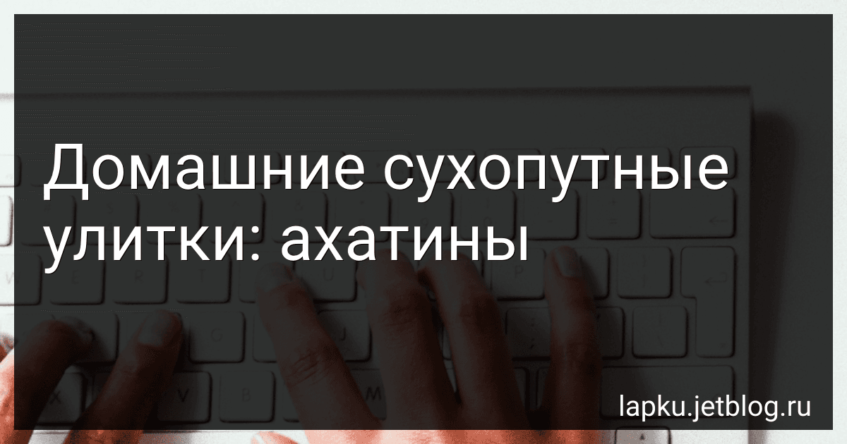 Домашние сухопутные улитки: ахатины image