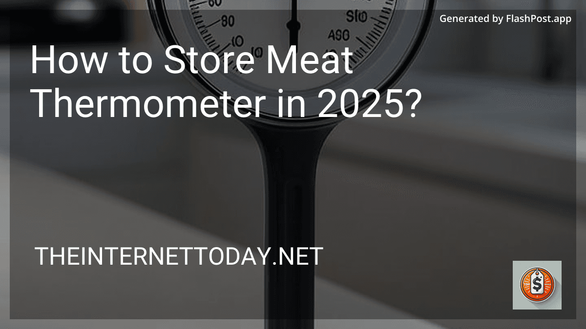 How to Store Meat Thermometer in 2025? image
