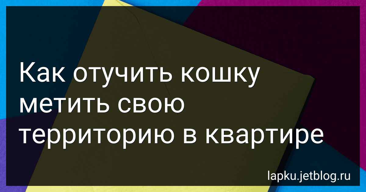 Как отучить кошку метить свою территорию в квартире image