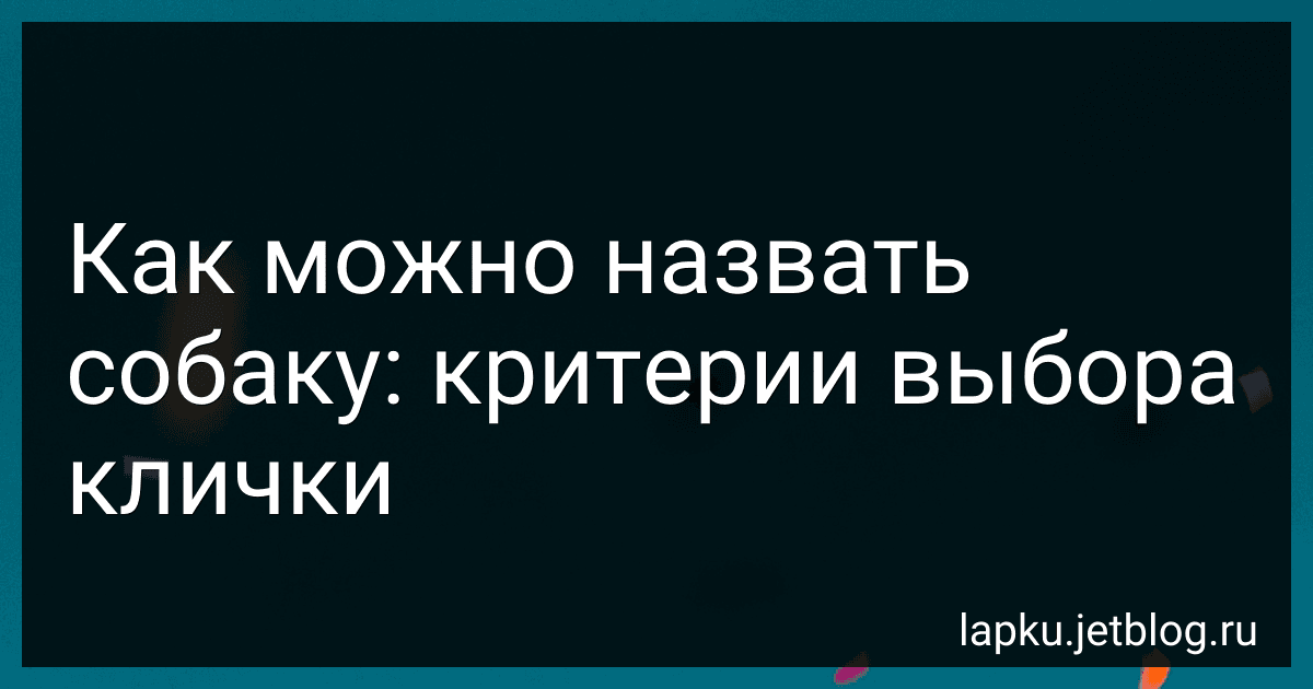 Как можно назвать собаку: критерии выбора клички preview