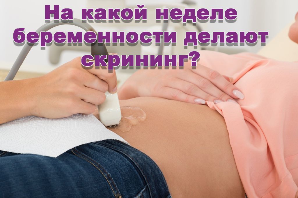 На какой неделе беременности делают скрининг? image