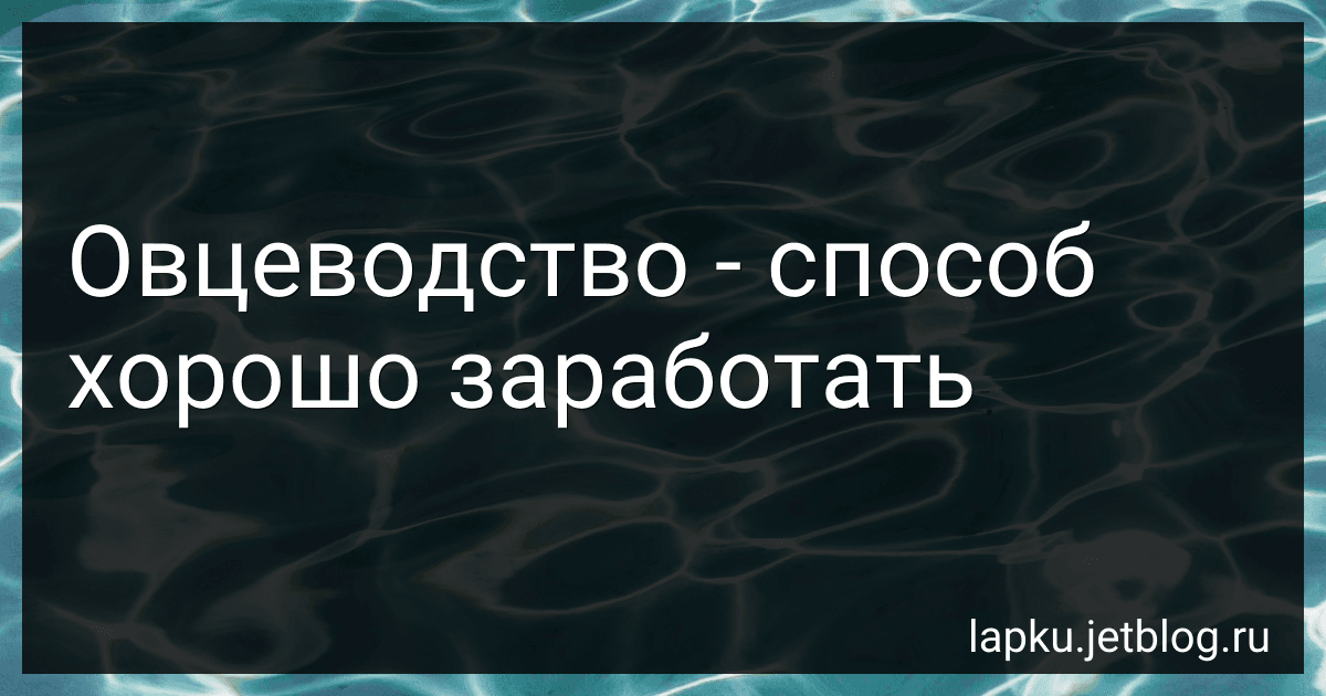 Овцеводство - способ хорошо заработать image