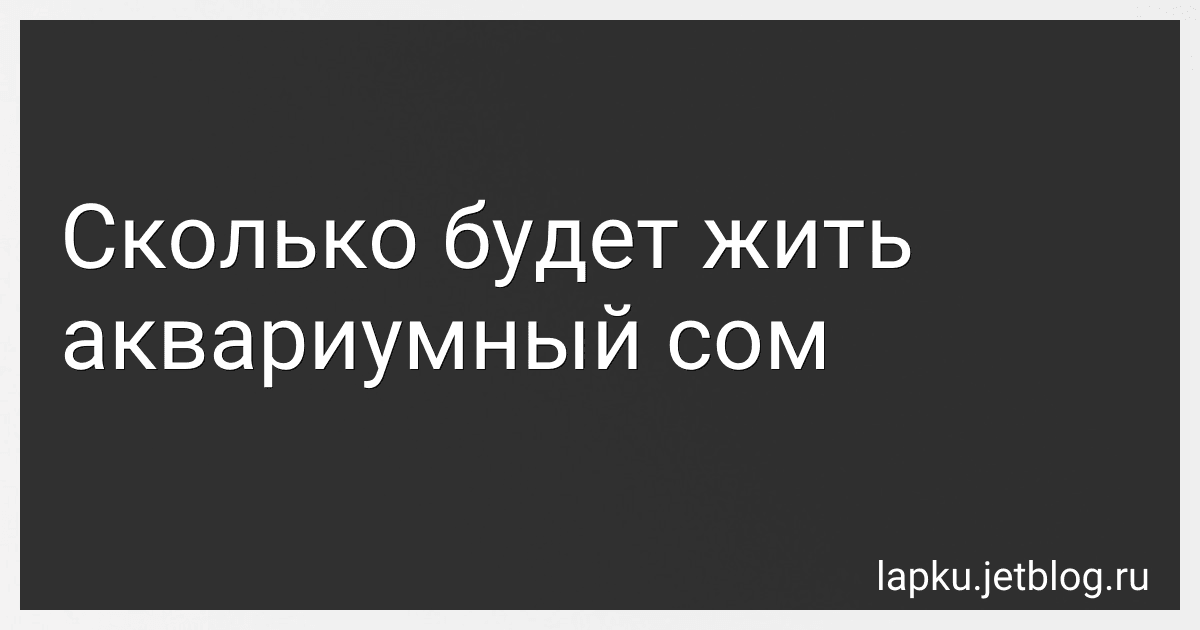 Сколько будет жить аквариумный сом image