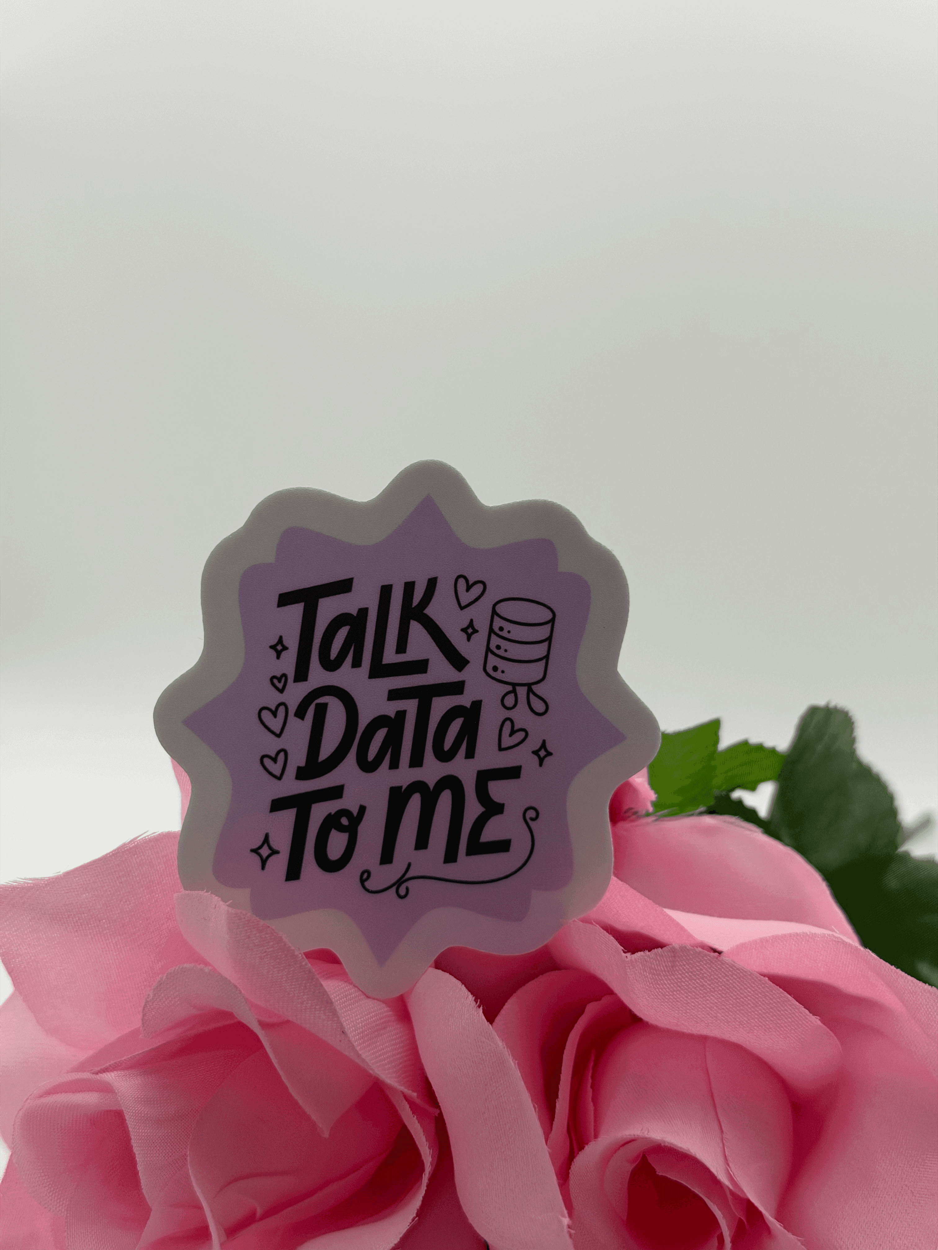 Talk Data To Me Cute Database Nerd Vinyl Sticker