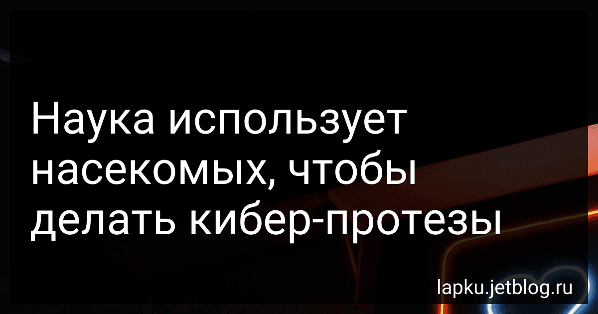 Наука использует насекомых, чтобы делать кибер-протезы image
