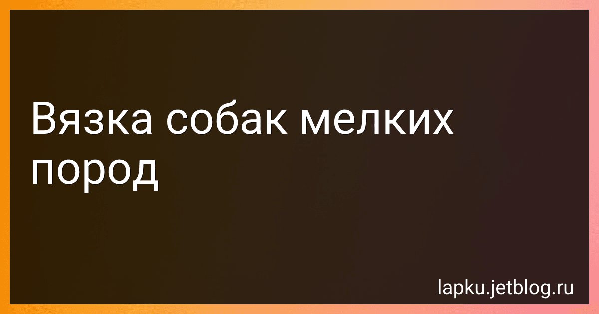 Вязка собак мелких пород preview