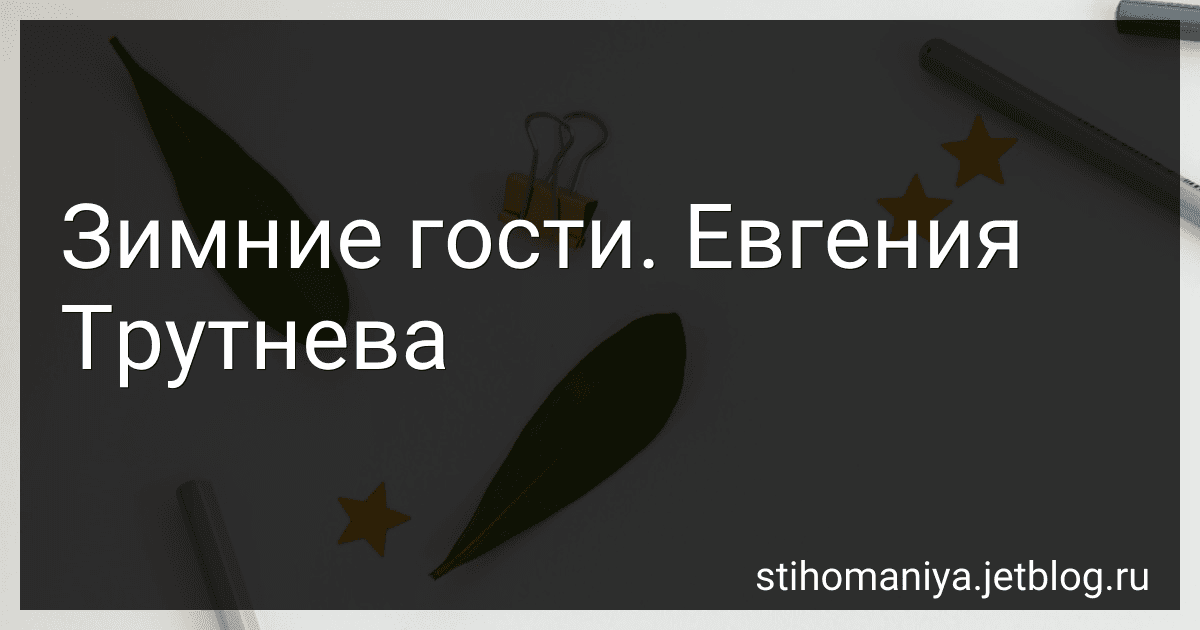 Зимние гости. Евгения Трутнева preview