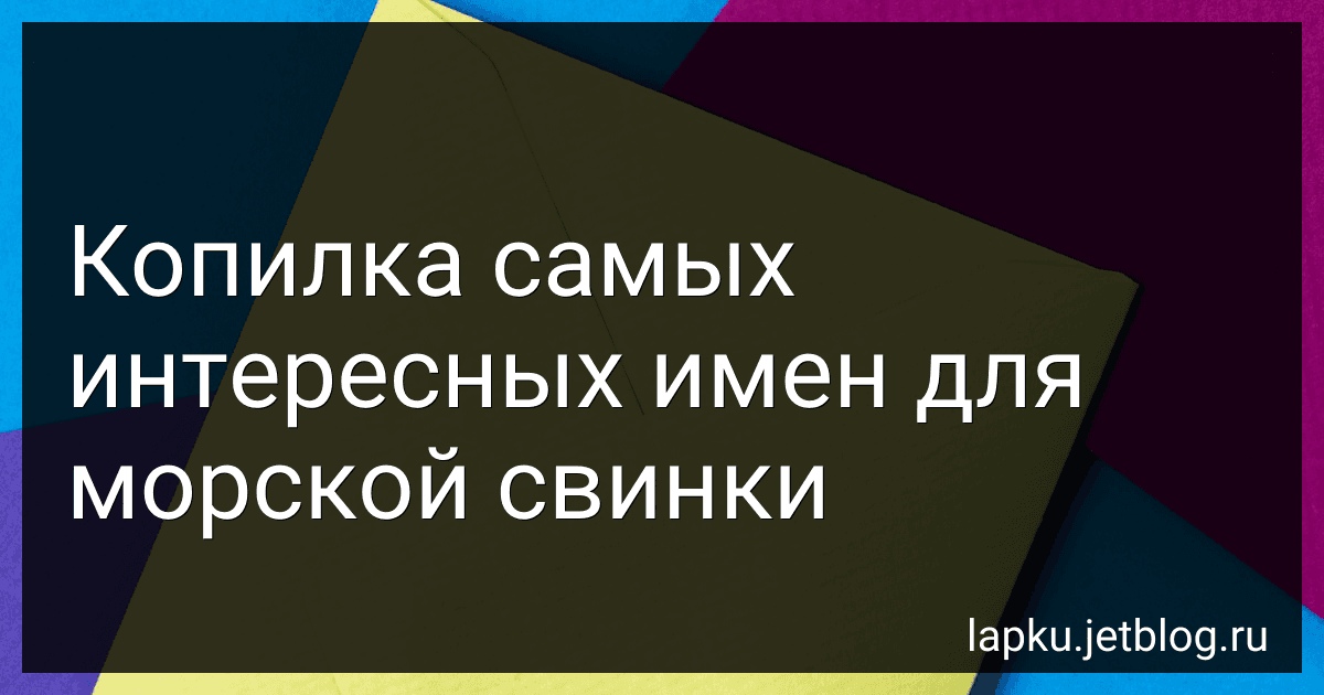 Копилка самых интересных имен для морской свинки image