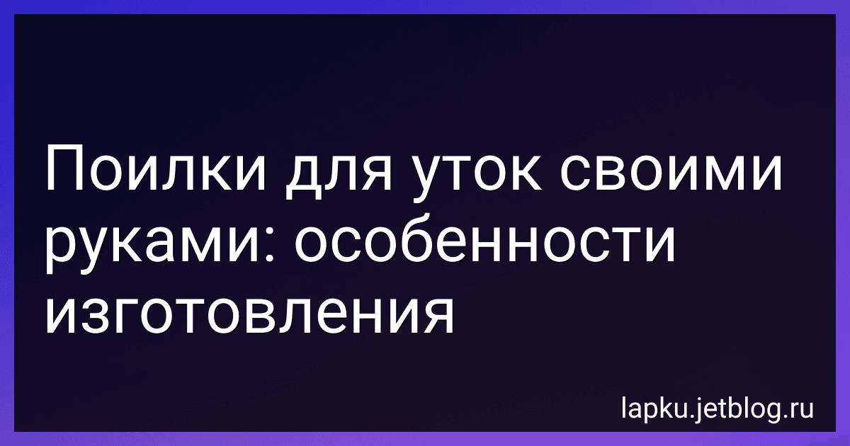 Поилки для уток своими руками: особенности изготовления image