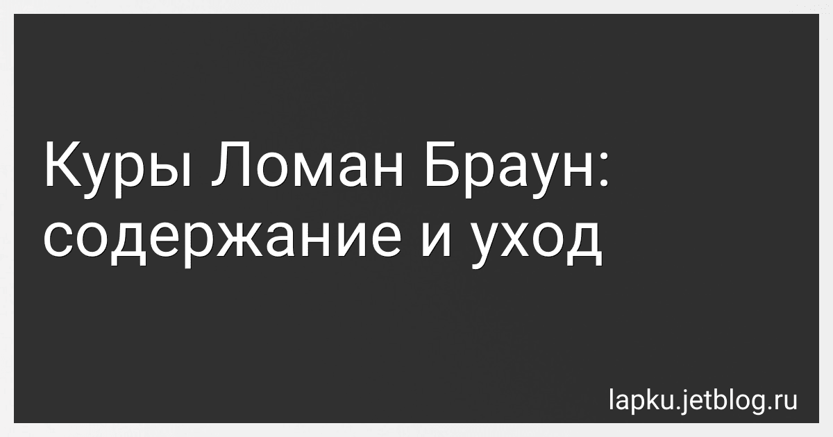 Куры Ломан Браун: содержание и уход image