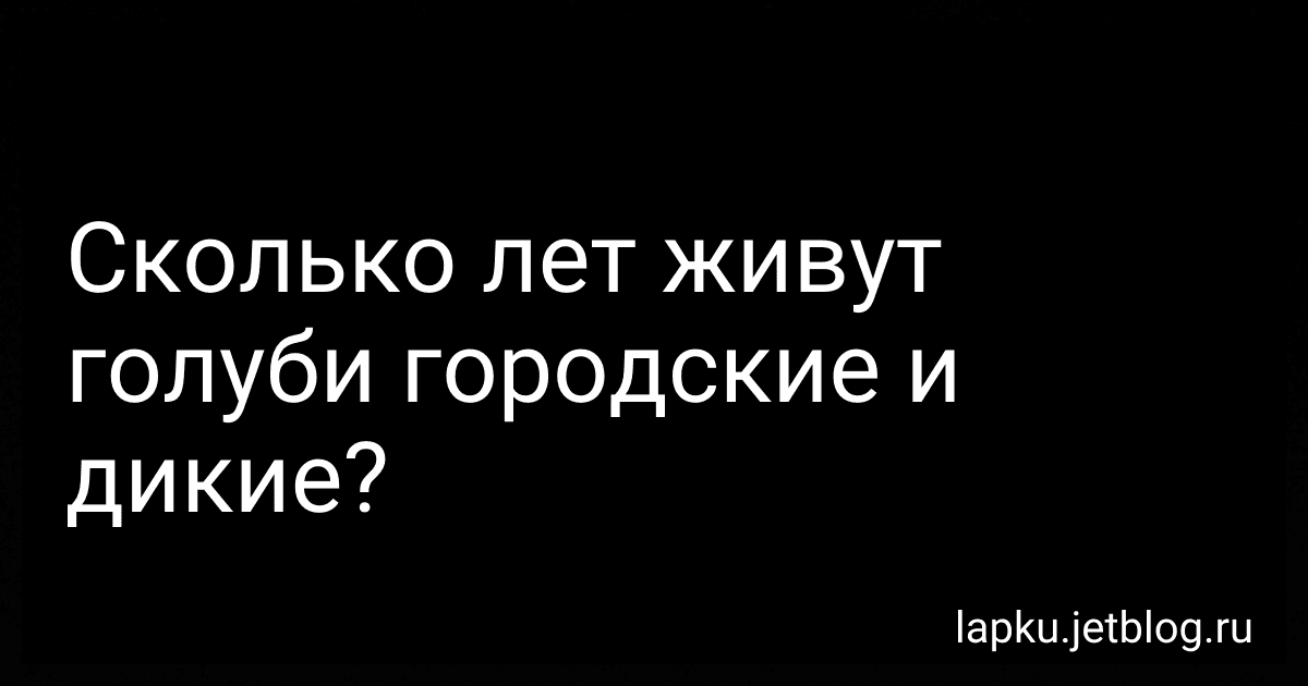Сколько лет живут голуби городские и дикие? image