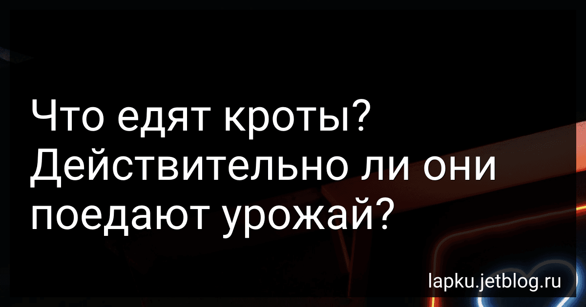 Что едят кроты? Действительно ли они поедают урожай? image