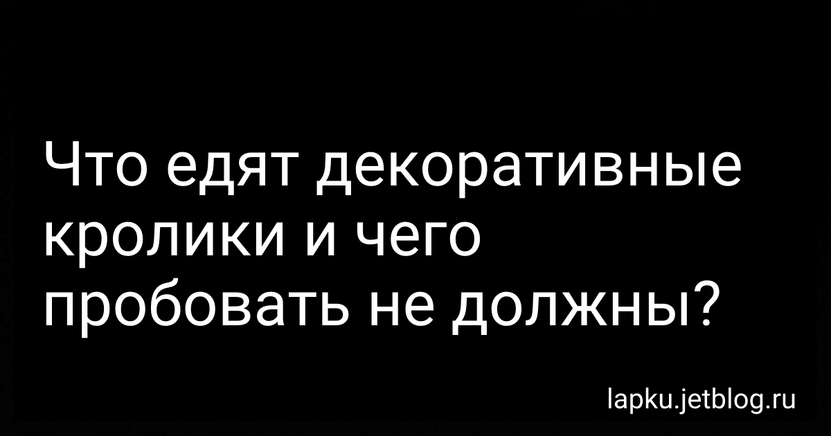 Что едят декоративные кролики и чего пробовать не должны? image