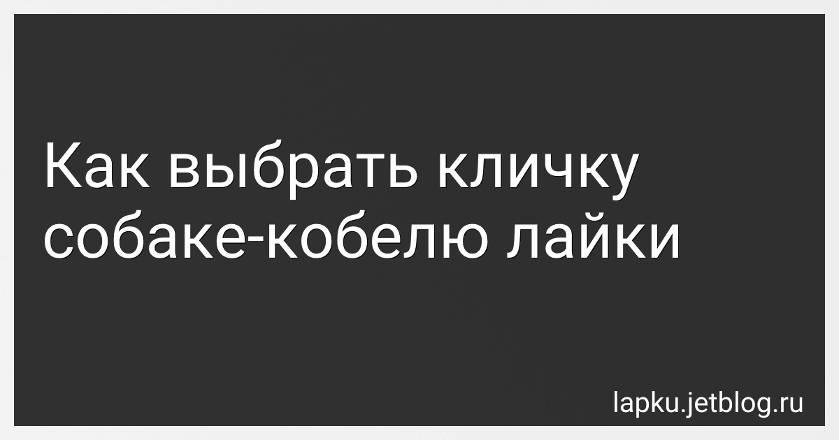 Как выбрать кличку собаке-кобелю лайки preview