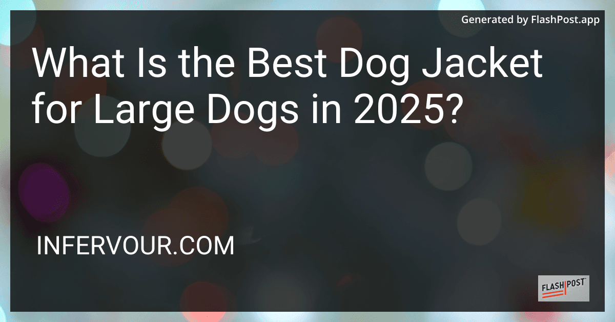 What Is the Best Dog Jacket for Large Dogs in 2025? preview