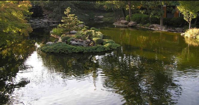 All Filters are NOT Created Equal - A Pond Filter Comparison image