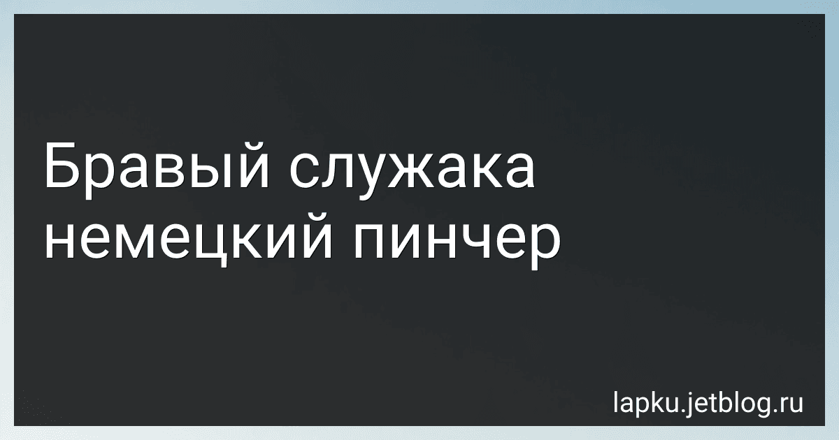 Бравый служака немецкий пинчер preview