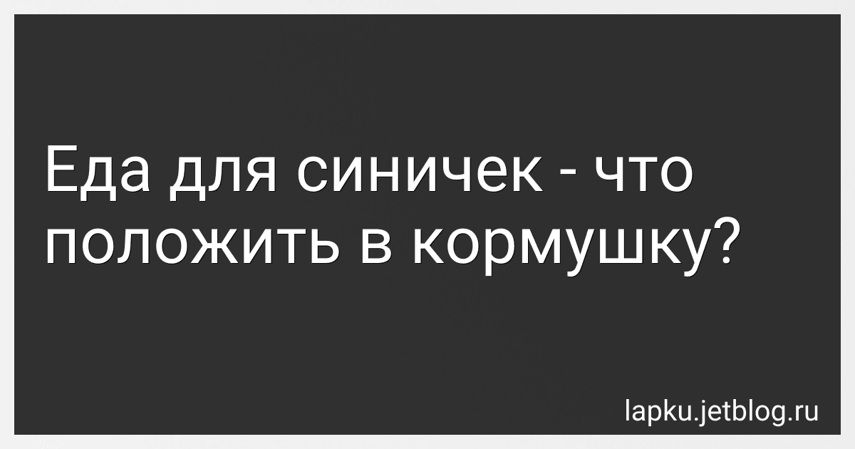 Еда для синичек - что положить в кормушку? preview