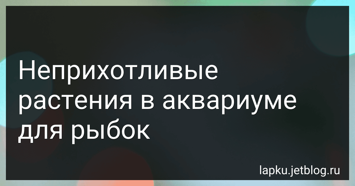 Неприхотливые растения в аквариуме для рыбок image