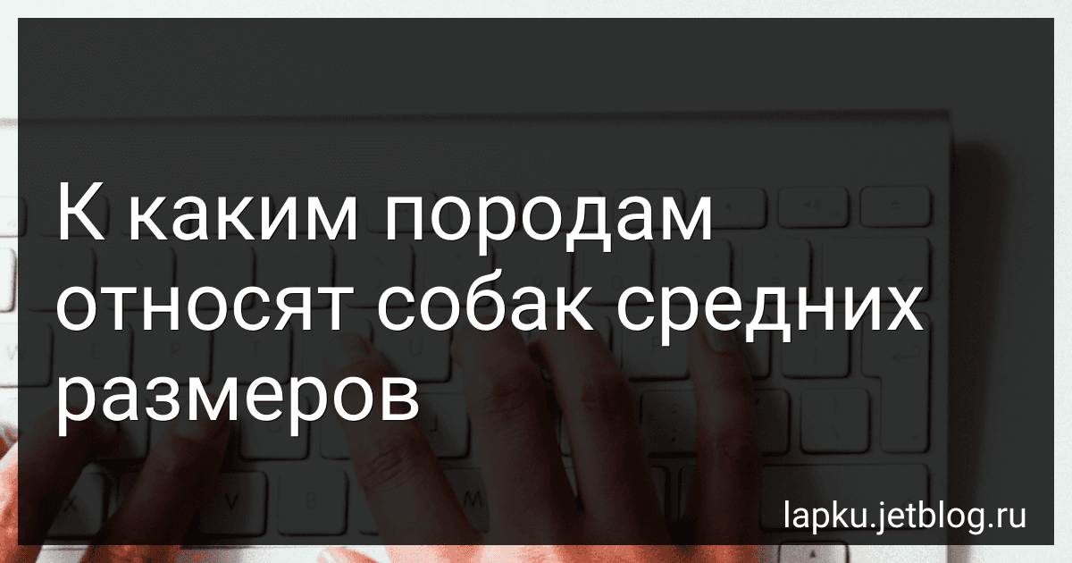 К каким породам относят собак средних размеров preview