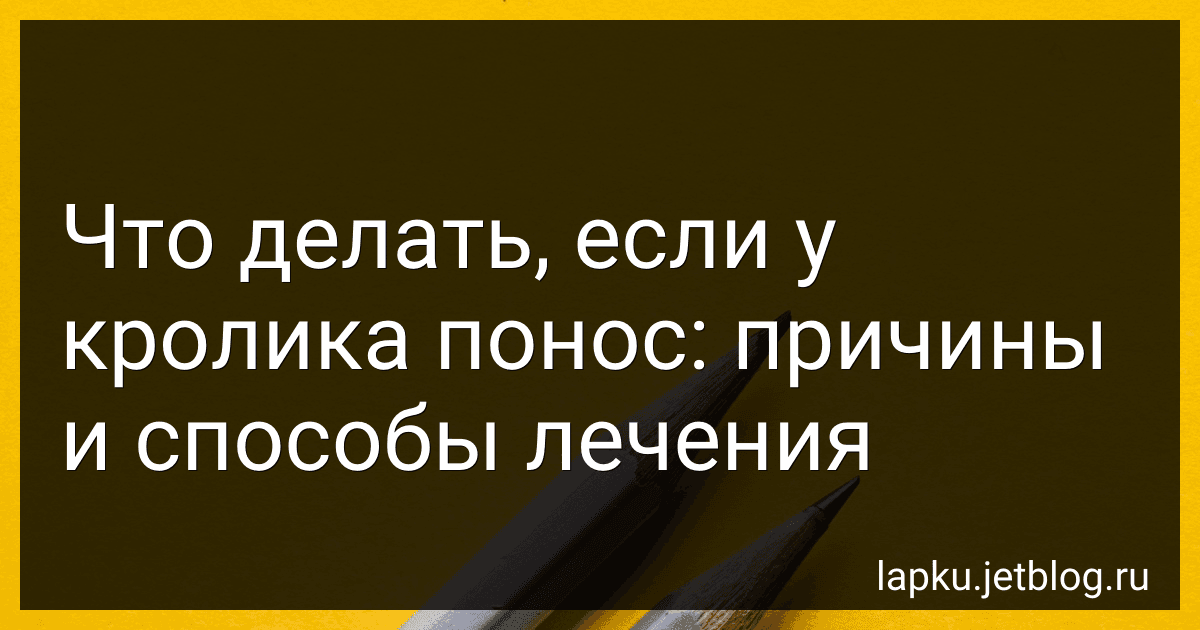 Что делать, если у кролика понос: причины и способы лечения image