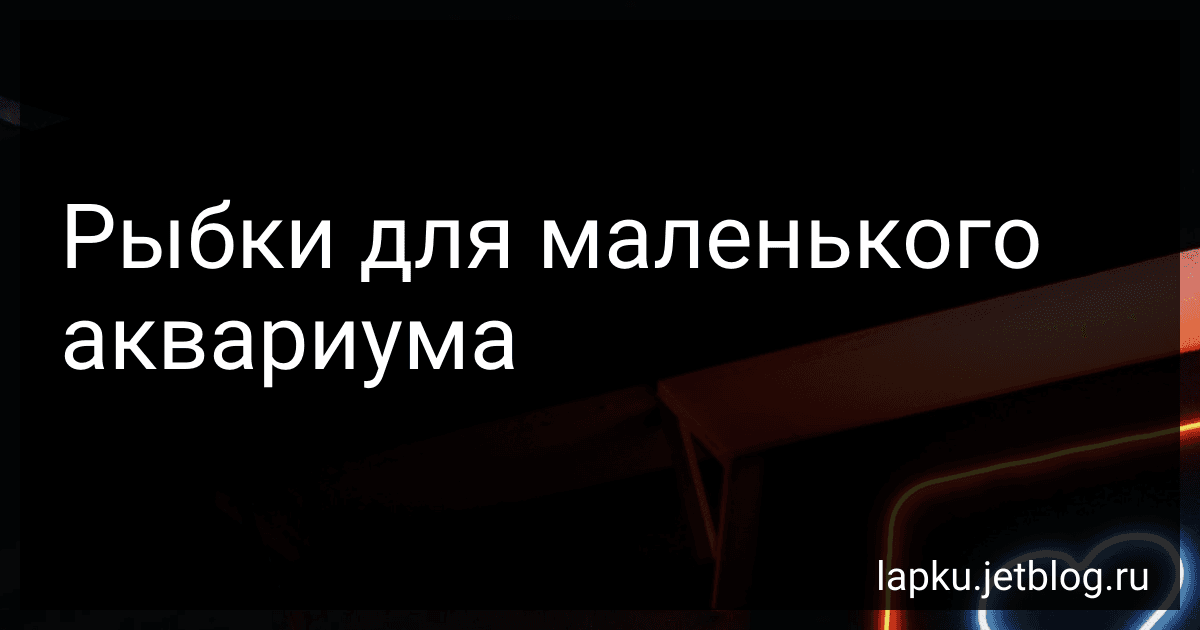 Рыбки для маленького аквариума preview
