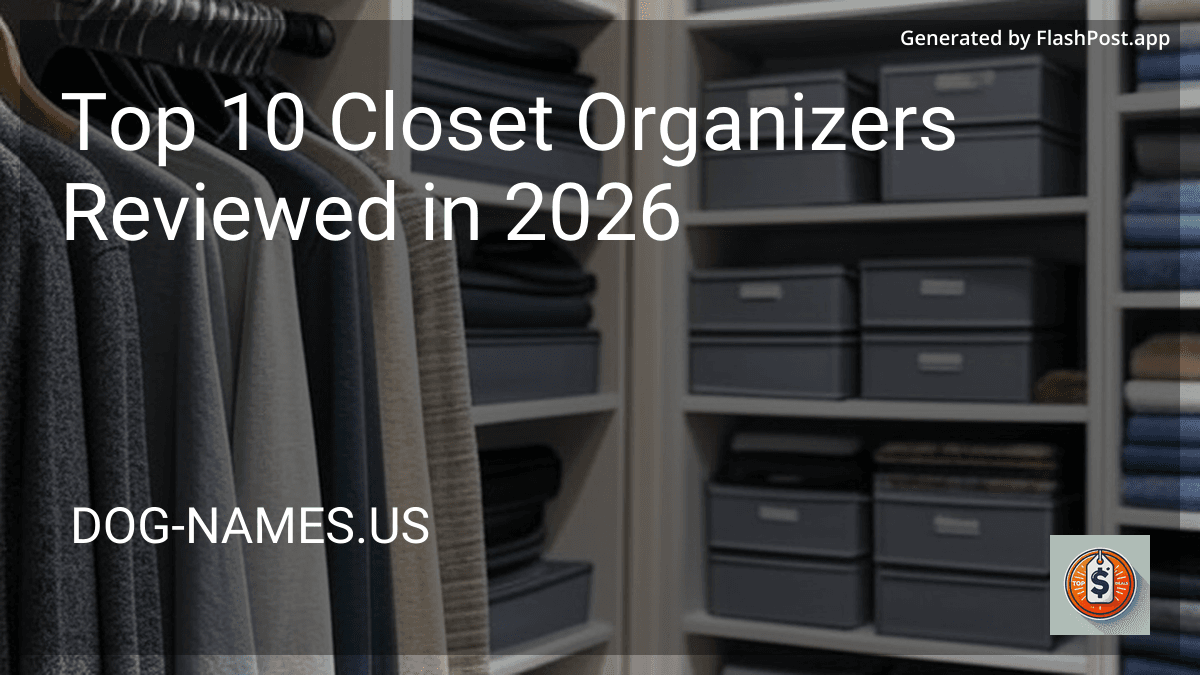 Top 10 Closet Organizers Reviewed in 2026 image
