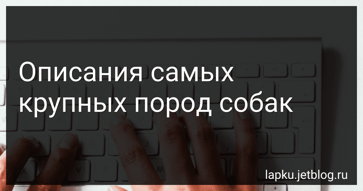 Описания самых крупных пород собак preview