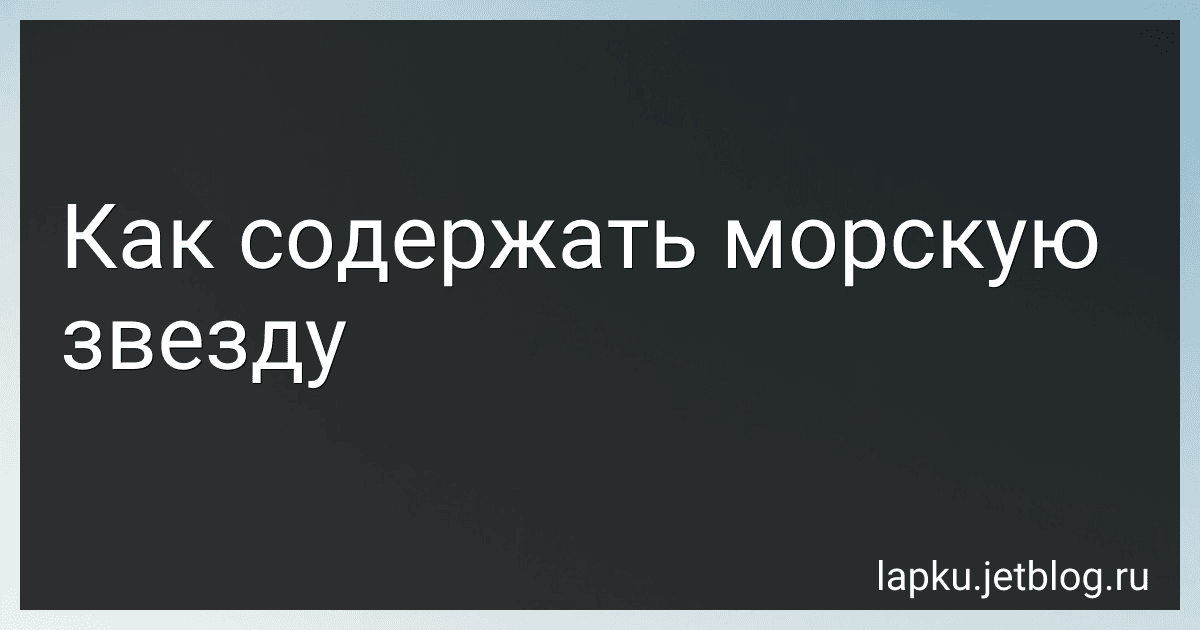 Как содержать морскую звезду preview