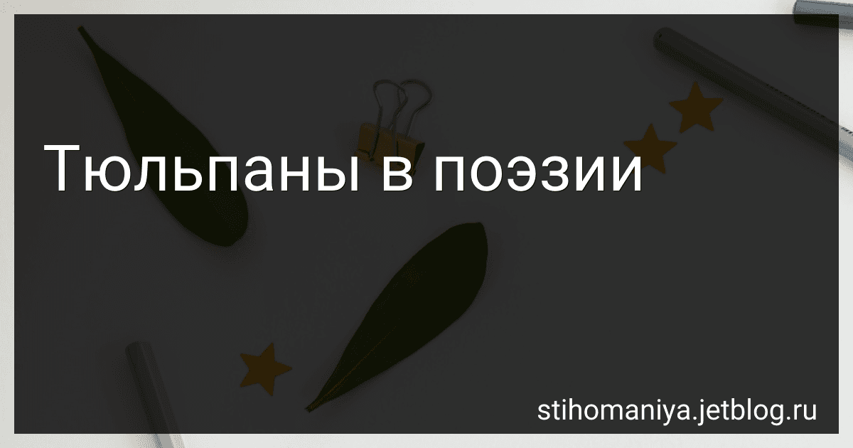 Тюльпаны в поэзии preview