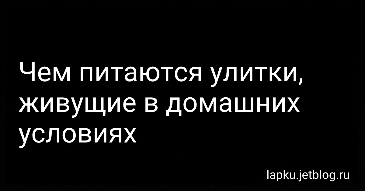 Чем питаются улитки, живущие в домашних условиях image