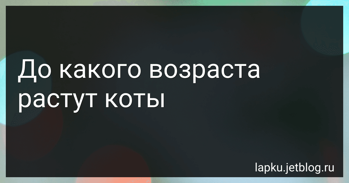 До какого возраста растут коты image